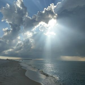 Meet your Posher, Shelley